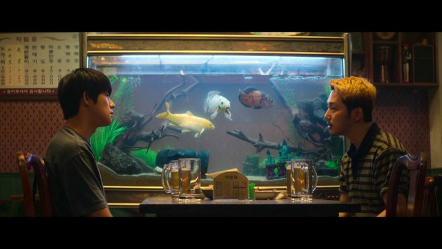 4d42dd3882f30a878b329ed277a2d128